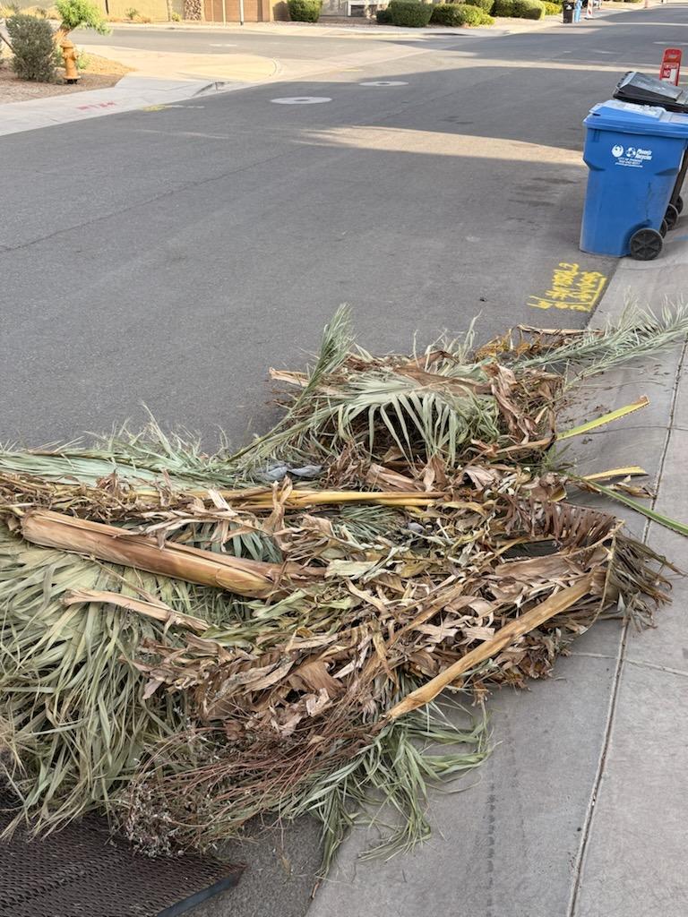 Palm fronds and bulky yard debris piled at the curb in front of a West Valley home before pickup
